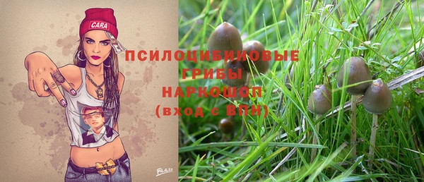 сатива Балабаново