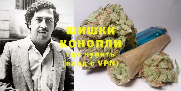 марки lsd Белокуриха