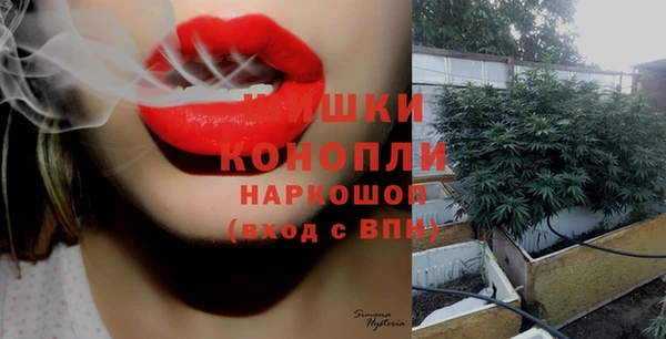 сатива Балабаново